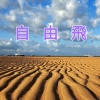 《 自 由 飛 》(男聲版)