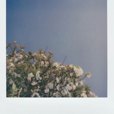 Late Summer