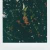 LOST IN FOREST