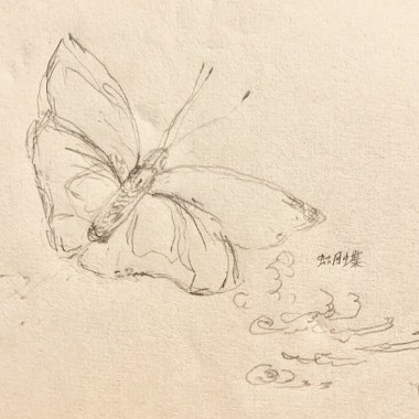 Wind Flower
