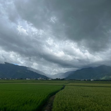 世上唯一不變的事 demo