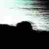 Cold mountain