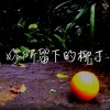 妳所留下的柳丁 (Demo)