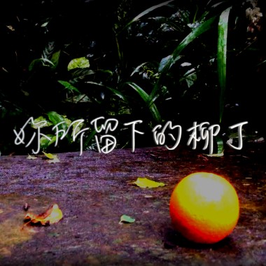 妳所留下的柳丁 (Demo)