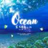 04_Welcome To My Island