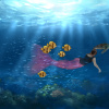 美人魚