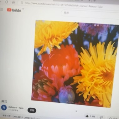 鮮花 - 回春丹