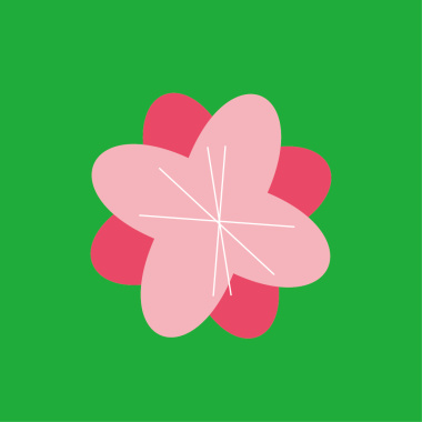 《花鳥情事：民謠裡的浪漫詩人》｜第六籤：含笑花