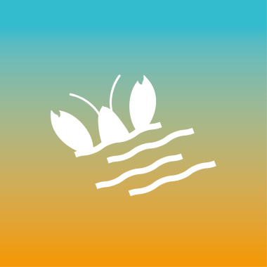 《花鳥情事：民謠裡的浪漫詩人》｜第十九籤：龍蝦與海