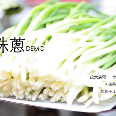 珠蔥demo