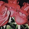 浪漫情歌 (Demo)