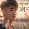 天若有情 /《喜遷鶯·花不盡》晏殊（宋代）