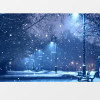 雪白之夜