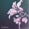 紫花散- Taken For Granted 