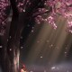 正美麗 MA v3