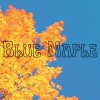 Blue Maple