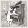 Doggy Piano XI - AhCai