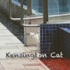 Kensington Cat 肯辛頓之貓