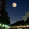 ♏️ 《天际流》 🌕