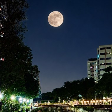 ♏️ 《天际流》 🌕