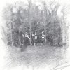 眼睛里（demo）