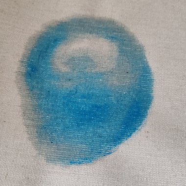 樹樹—花苞的果实