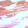 枝干之下—成人