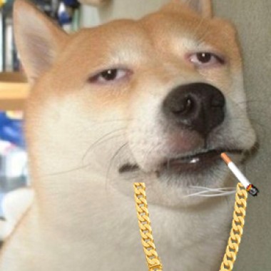 跟風的嘻哈迷