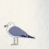 海貓貓之歌－小豆 Limited time edition