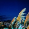 你的眼睛已迷失