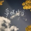 夢醒時分