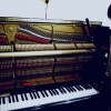 ピアノ調律師（2023-03-15_09.36Piano Tuning）