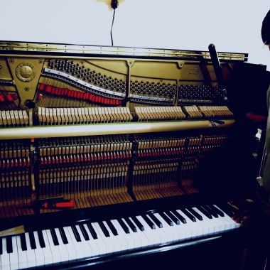 ピアノ調律師（2023-03-15_09.36Piano Tuning）
