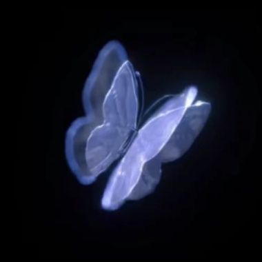 電子蝴蝶