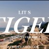 虎 TIGER