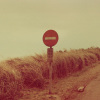 My Love Is Far Away