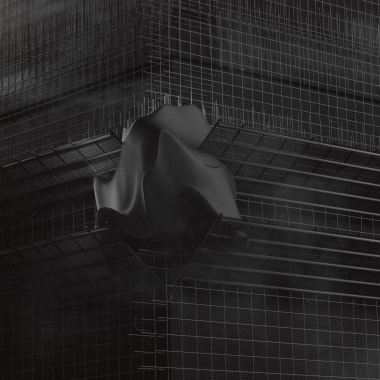 Amidst The Concrete