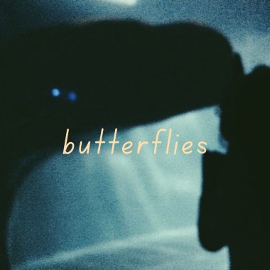 butterflies