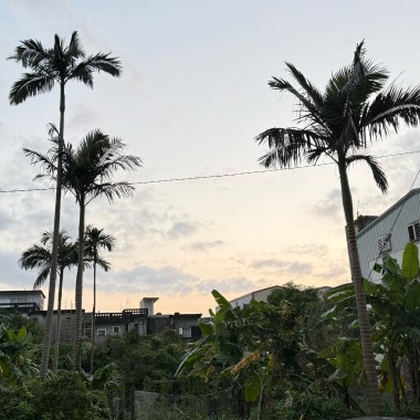 消失的兩年記憶