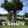 生活的部份