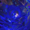 藍眼淚