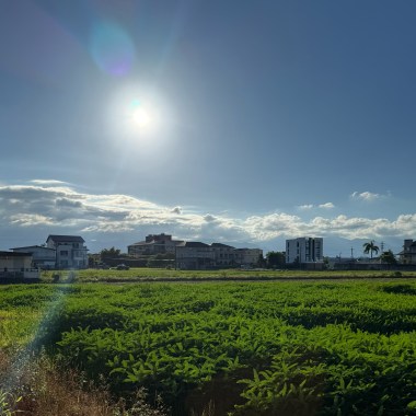 純粹