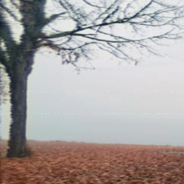 🌧️ 𝘢𝘨𝘰𝘳𝘢𝘱𝘩𝘰𝘣𝘪𝘤 🌧️