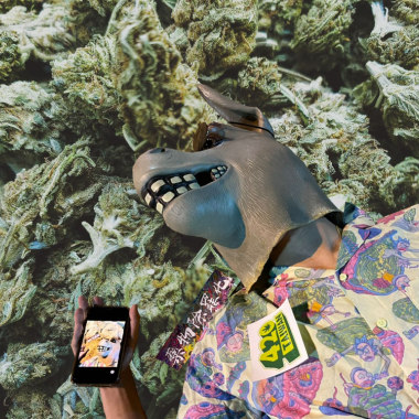 笑嗨嗨 Chill High High