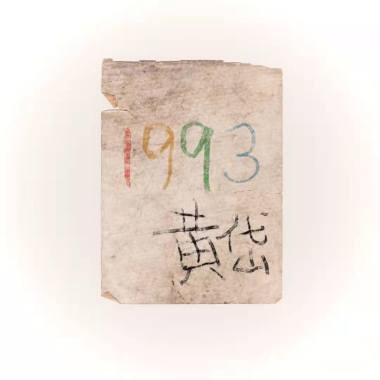 我们回1993重来一遍人生好不好