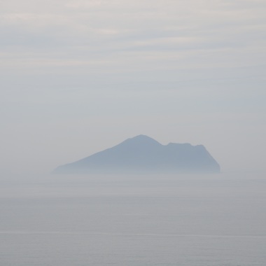 小海龜