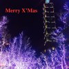 Merry X'Mas