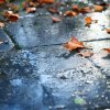 風雨