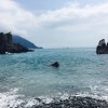 浪聲