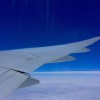 Fly to the world/北區
